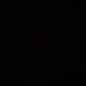 Meet your Posher, Jayvien